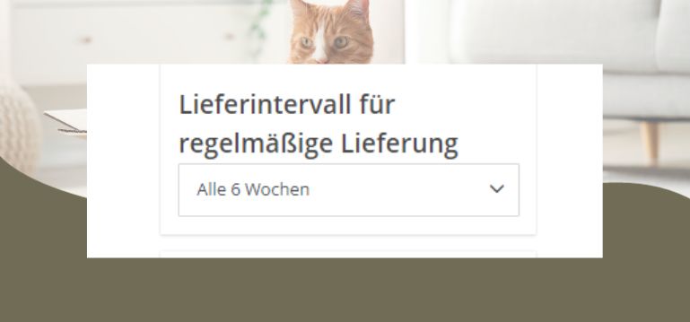 Lieferintervall